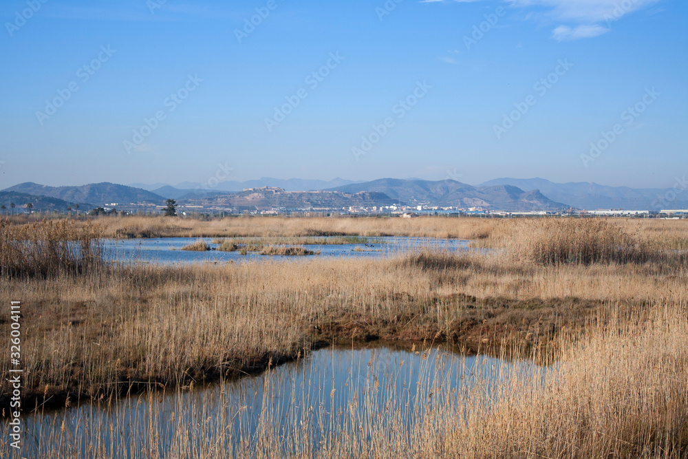 Fototapeta premium landscape of the Marjal del Moro, in Valencia