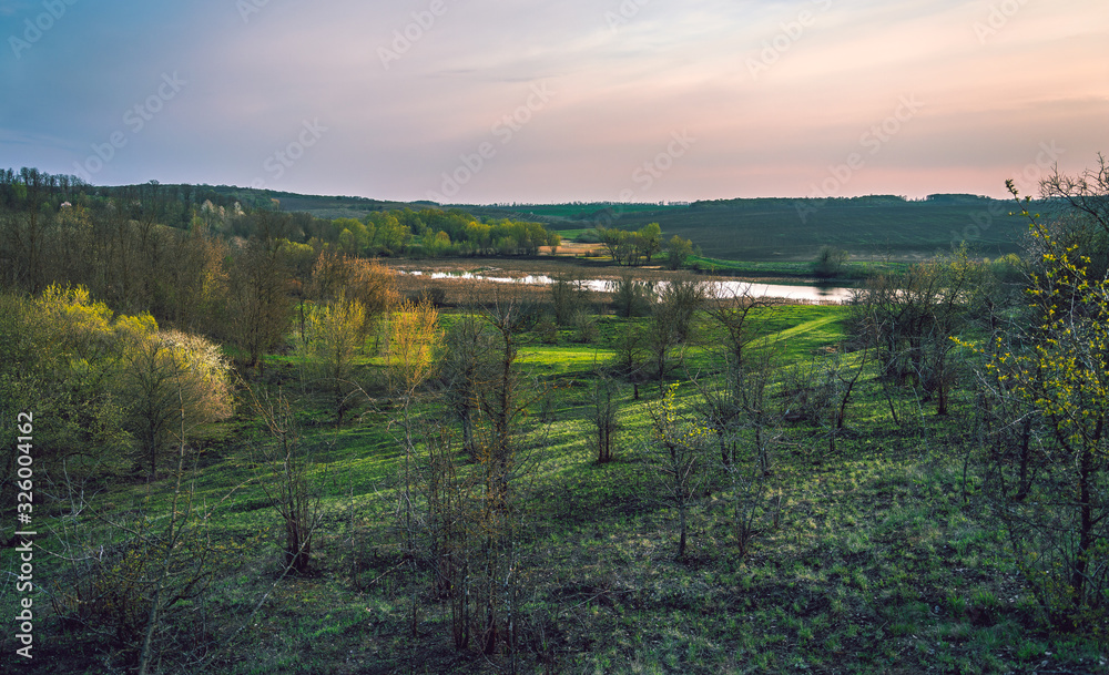 Fototapeta premium Spring landscape