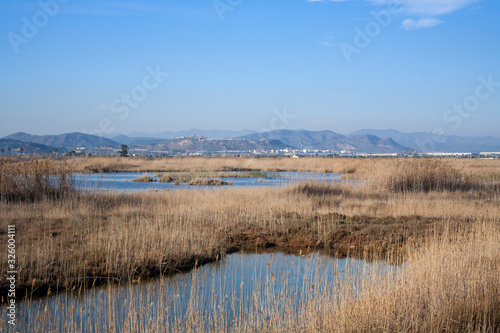 landscape of the Marjal del Moro, in Valencia