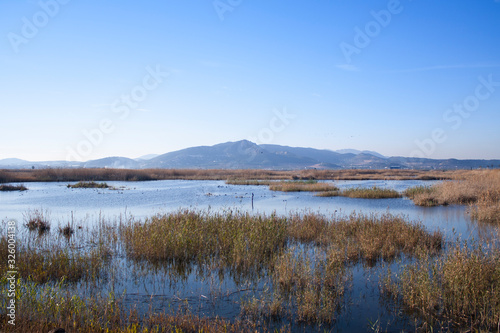 landscape of the Marjal del Moro, in Valencia