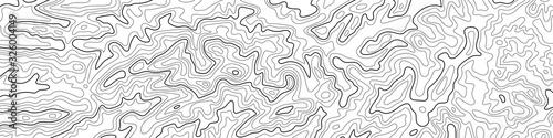 Imitation of a geographical map, black lines on white background, vector design