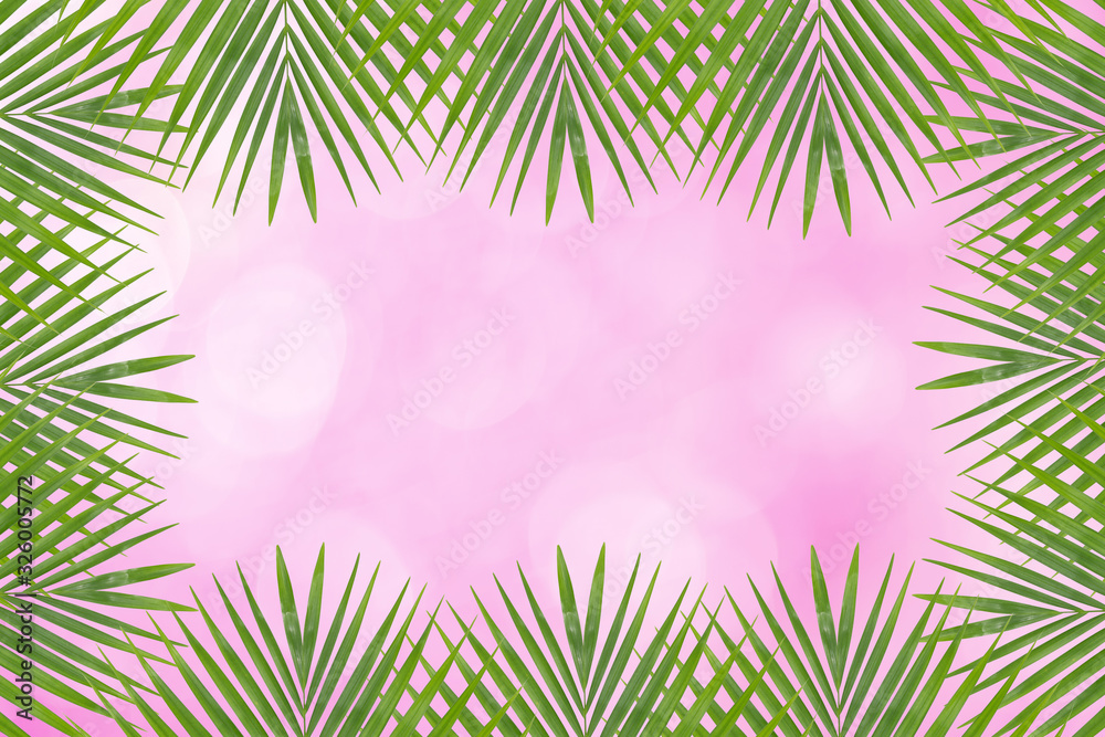 Palm leaves on soft focus pink background.