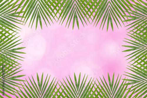 Palm leaves on soft focus pink background.