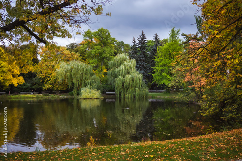 Złota jesień nad wodą photo