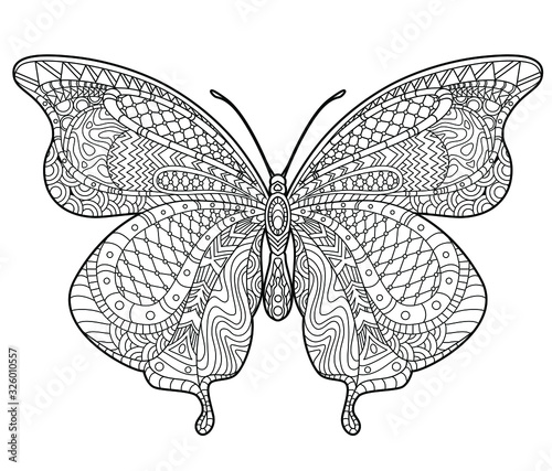 Butterfly coloring page for children and adults. Beautiful drawings with patterns and small details. Hand drawing vector illustration in black outline on a white background