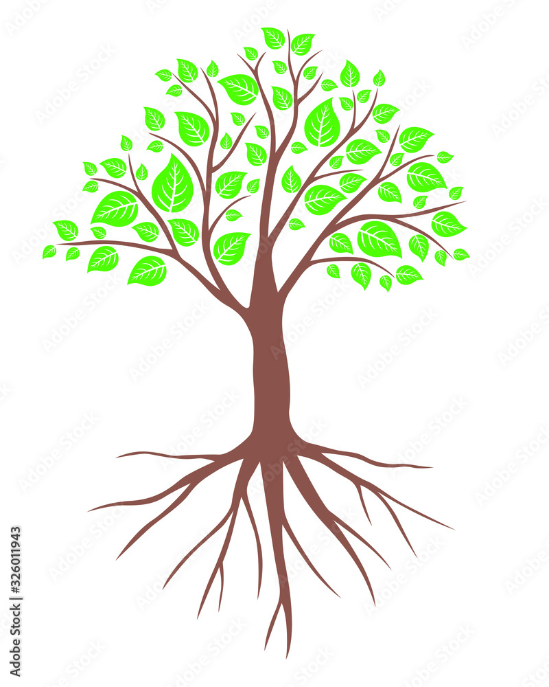 Fototapeta premium Vector illustrations of spring tree with leaves