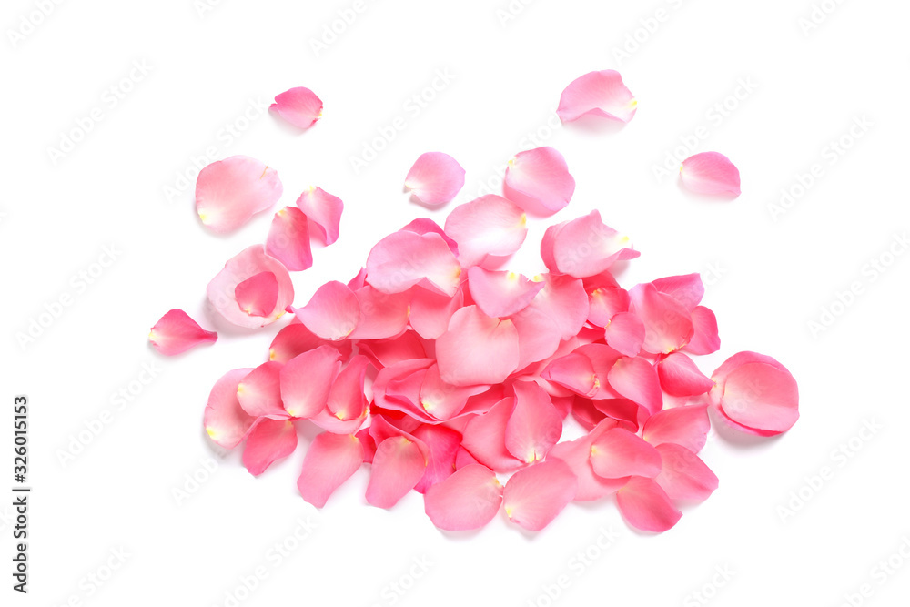 Pile of fresh pink rose petals on white background, top view