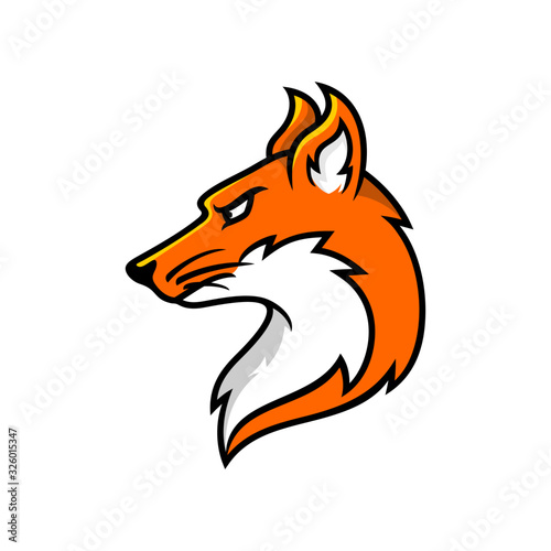 fox head mascot, vector illustration