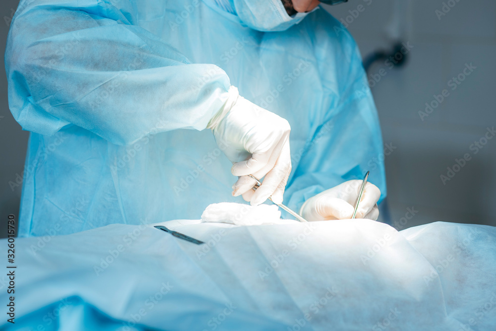 Fototapeta premium Surgeon performing surgery on breasts in hospital operating room. Surgeon in mask wearing surgical loupes during medical procedure.