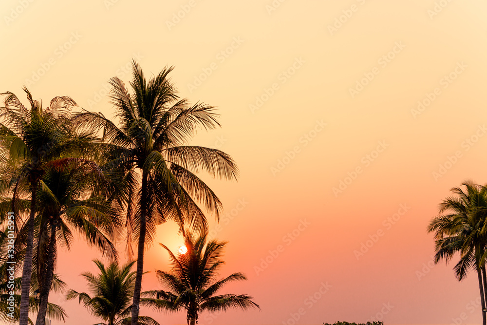 beautiful coconut palm tree with sunset