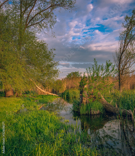 Sunrise on river