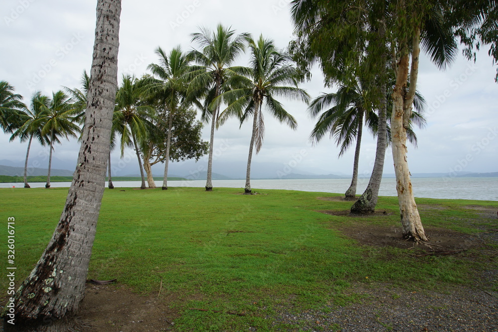 Palm tree bay, Port Douglas, Australia