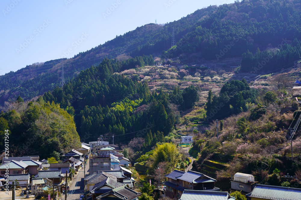梅の花咲く里の山並み(徳島県神山町)