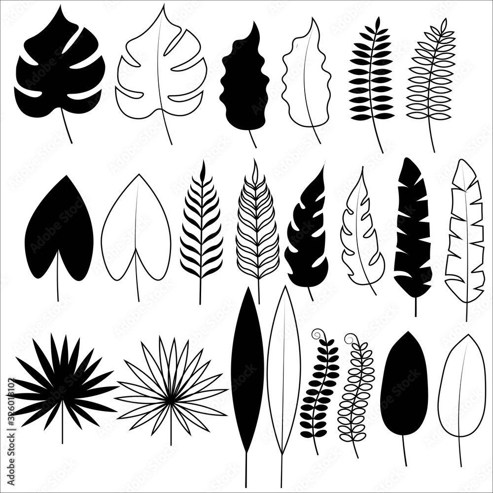 Set of contour tropical leaves in black color isolated on a white background. Stock vector illustration for decoration and design, cards and posters, web pages and more. Set of contour tropical leaves in black color isolated on a white background. Stock vector illustration for decoration and design, cards and posters, web pages and more.