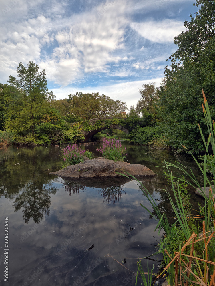 Fototapeta premium Gapstow Bridge in Central Park
