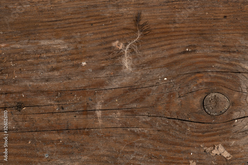 empty old wood Background. rustic textured grungy floor