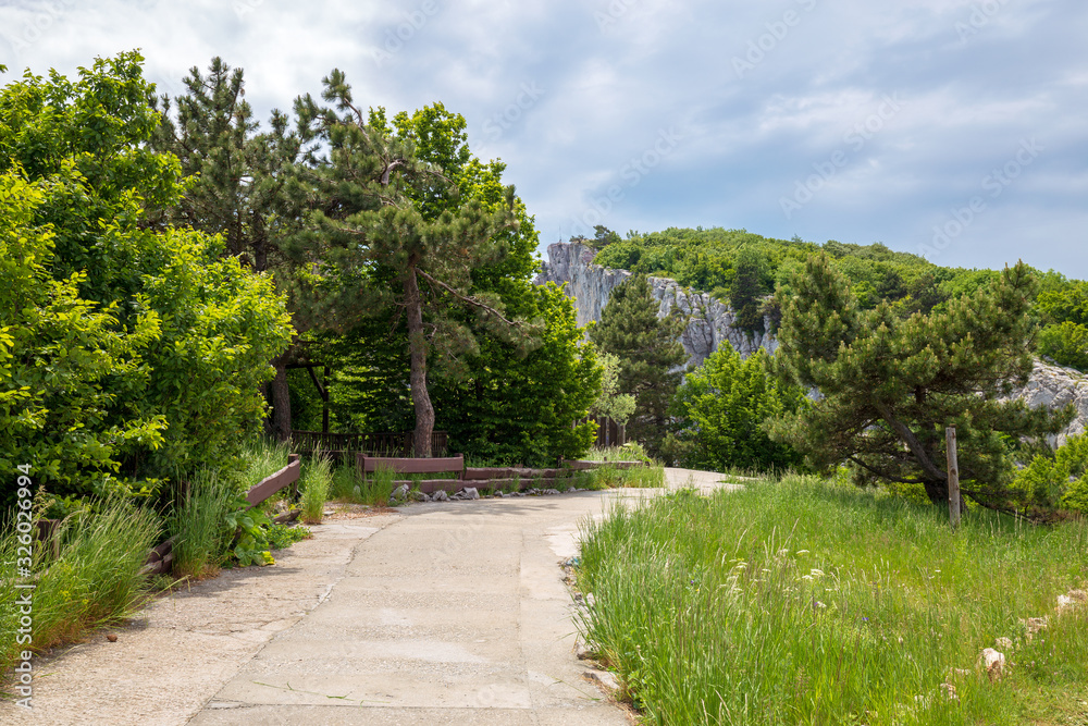 The scenic trail in the Park at the foot of the rock. Crimean mountains, Ai-Petri. Beautiful mountain landscape. Travel photo.  