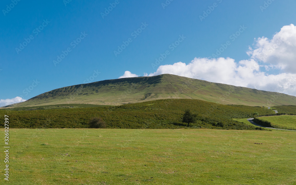 Soft hillside in Mid Wales