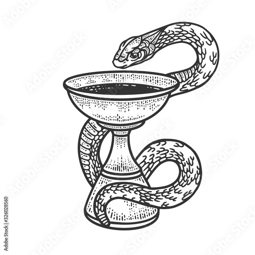 Bowl of Hygieia symbols of pharmacy sketch engraving vector illustration. T-shirt apparel print design. Scratch board imitation. Black and white hand drawn image.