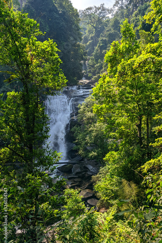 national park Doi Inthanon Chiang Mai  Thailand