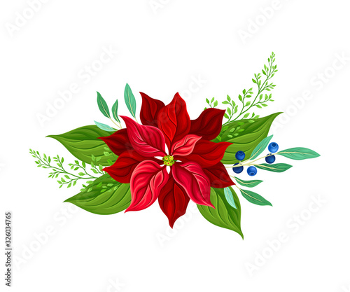 Holiday Floral Composition Arranged From Red Christmas Flower and Blueberry Twig Vector Illustration