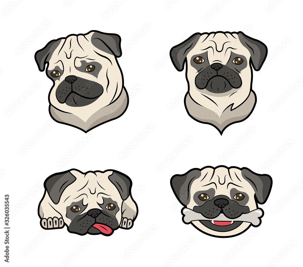 Pugs collection. Dogs with different emotions.