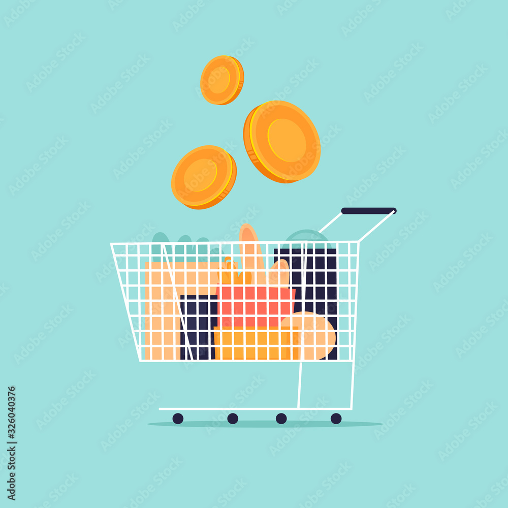 Fotografie Cart with groceries and money, shop
