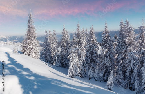 Amazing winter landscape in Austrian alps. Wonderful wintry Scenery during sunset. Dramatic wintry scene. Picturesque landscape at the winter in the mountain forest. Postcard