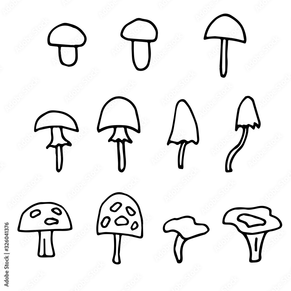 Set of doodle mushrooms. Mushroom hand drawn sketch vector illustration.