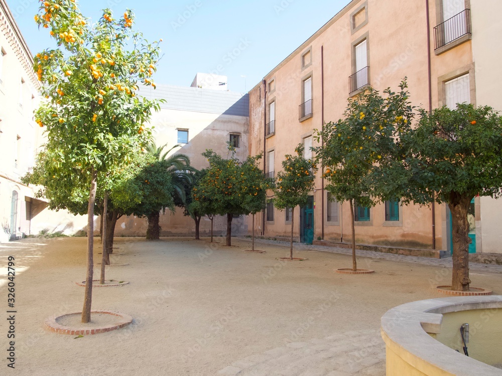 Obraz premium Jardí dels Tarongers, Barcelona