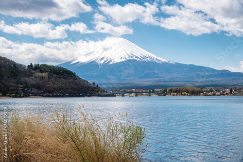 Mount Fuji with cherry blossom at Lake kawaguchiko in japan spring season