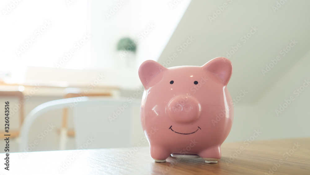 Pink piggy bank, isolate in white background. Saving money for future, copy-space