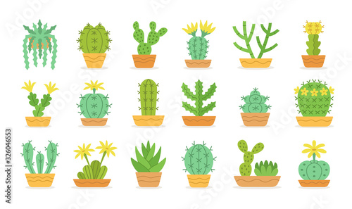 Different types of cactus in pots. Desert plants with flowers. Cute cacti collection. Isolated objects on white background. Vector illustration