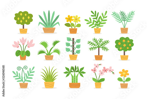 Indoor garden plants in pots. Tropical potted plants isolated on white. Vector flat icons