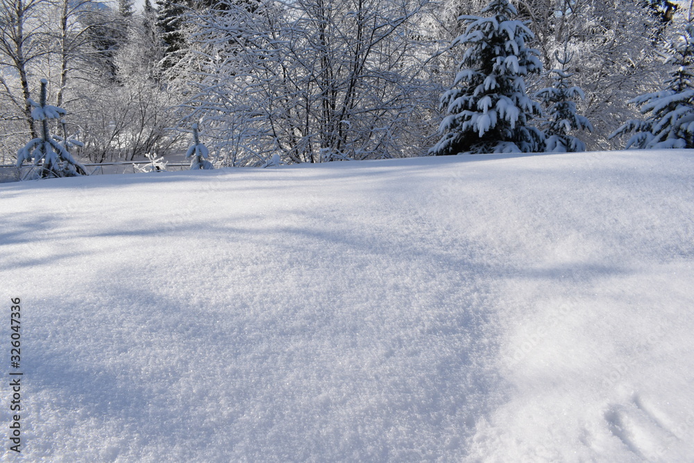 snow cover, snowdrifts in the forest