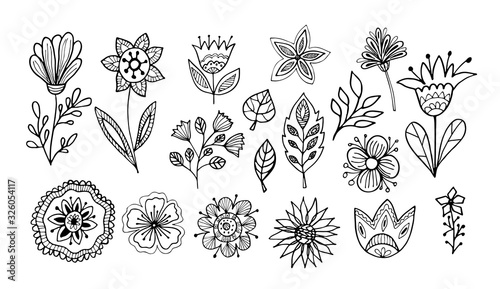 Floral vector illustration. Hand drawing flowers and leaves set on white background. Line art doodles.
