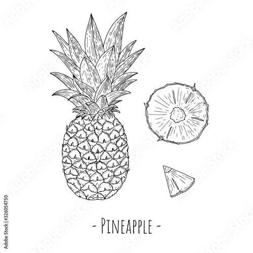 Pineapple and slices of pineapple. Isolated objects on a white background. Hand-drawn style.