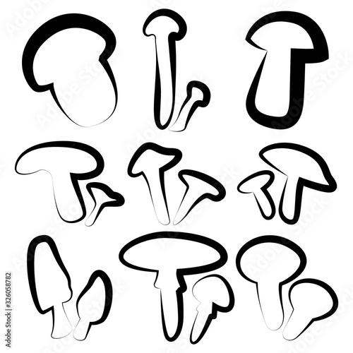 A set of nine different mushrooms. Creative art. Volnushki, Russula, Morel, valuy, etc.