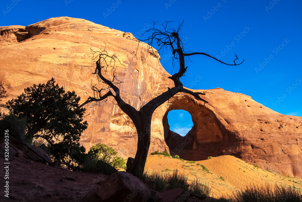 Φωτογραφία The Ear of the Wind Arch with a dead juniper tree in the foreground, Monument Valley Navajo Tribal Park, Arizona, USA