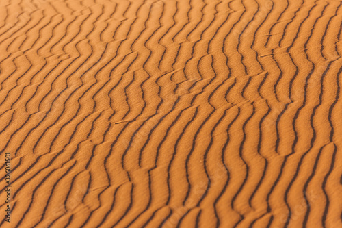 Desert Sands Landscape of Merzouga  Sahara. The wind drives the sand.