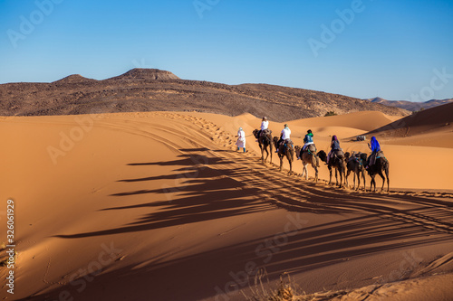 Berber man leads a caravan of camels in the desert Merzouga, Sahara, Morocco with tourists