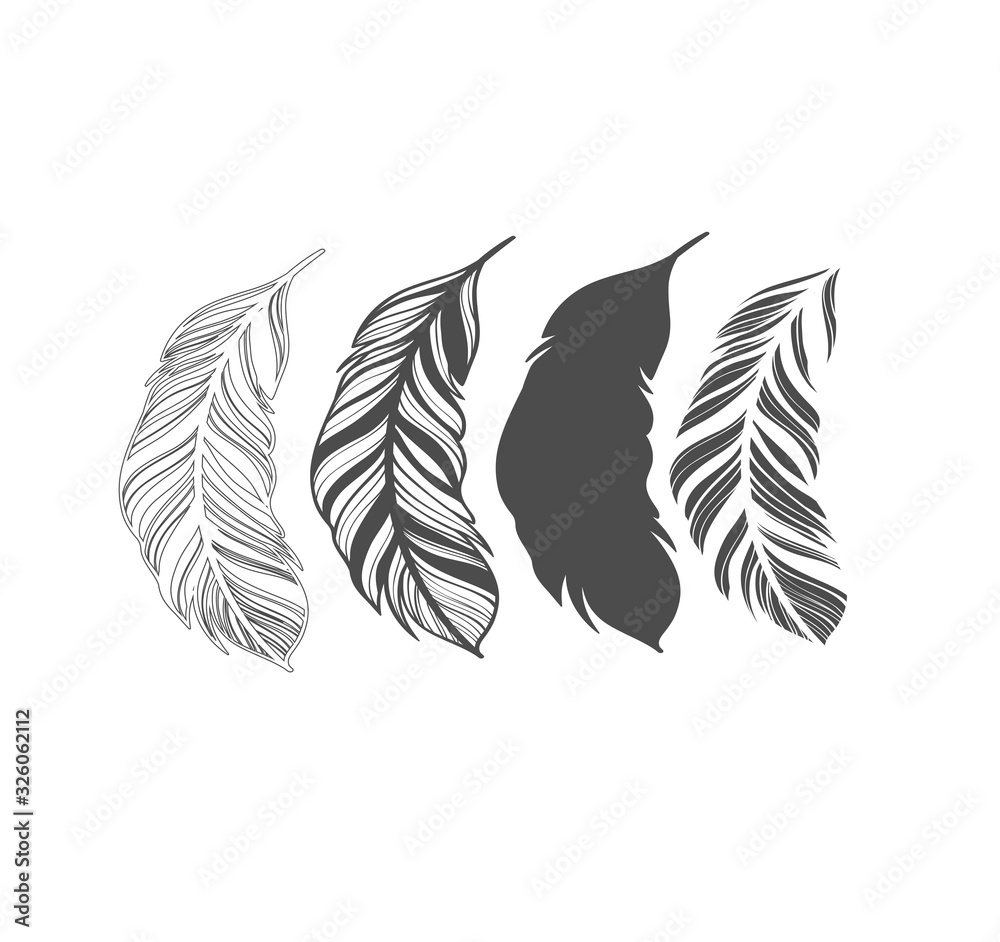 Obraz premium Big vector set collection of vintage feathers. Feather silhouette. Detailed sketch of a pen tattoo. Writer Pen
