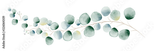 Obraz na płótnie Watercolor green eucalyptus leaves and branches