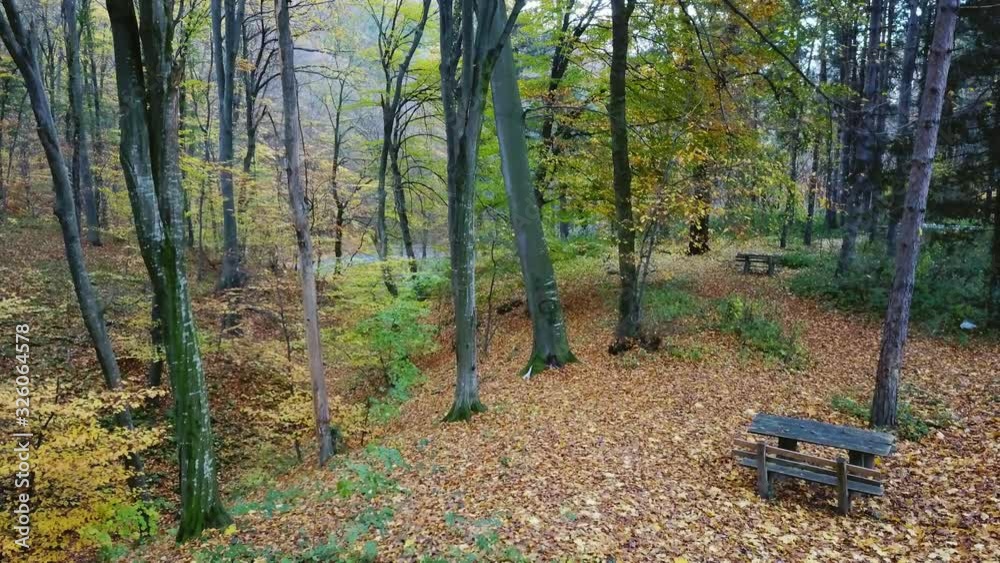 Aerial view of brown leaves around wooden bench in colorful autumn park Aerial view of brown leaves around wooden bench in colorful autumn park