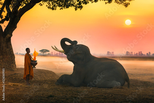 фотографія Elephant made merit a monk's bowl
