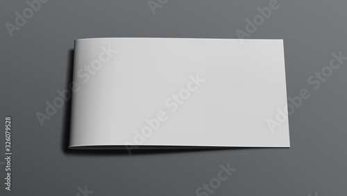 3D Blank Landscape Brochure Or Magazine On Gray