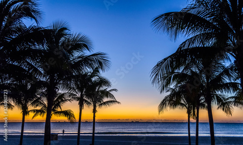 A view of an early morning sunrise in the Caribbean showing silhouetted palm trees and a single observer. 