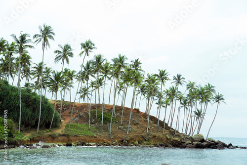 Jungle Beach on tropical coast indian ocean with coconut palms  island Sri Lanka Mirissa