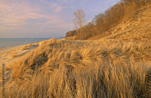 Landscape at sunset of the shoreline of Lake Michigan at Van Buren State Park  Michigan  USA