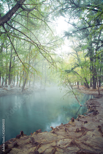 thermal water river  photo of morning fog over a lake in cold autumn weather in half moon san luis potosi